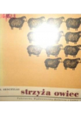 Strzyża owiec