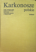 Karkonosze polskie