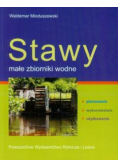 Stawy