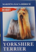 Yorkshire terrier