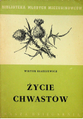 Życie chwastów