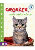Groszek mały cudotwórca