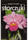 Rośliny w domu Storczyki