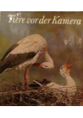 Tiere vor der Kamera