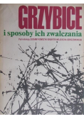 Grzybice i sposoby ich zwalczania