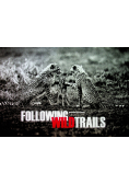 Following Wild Trails