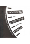 Nadgodziny zagryzione kimchi