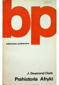 Prahistoria Afryki