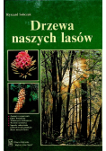 Drzewa naszych lasów