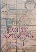 Dzieje Rzeszowa tom I