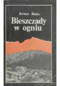 Bieszczady w ogniu