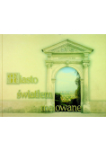 Miasto światłem malowane