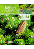 Iglaki
