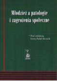 Młodzież a patologie i zagrożenia społeczne