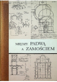Między Padwą a Zamościem