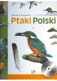 Ptaki Polski część 1