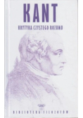 Kant krytyka czystego rozumu
