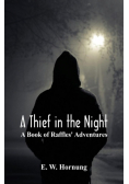 A Thief in the Night