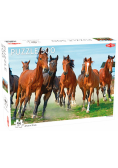 Puzzle Wild and Free 500