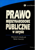 Prawo międzynarodowe publiczne w zarysie wydanie 10