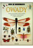 Owady