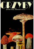 Grzyby