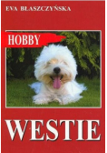 Westie