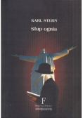 Słup ognia