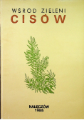 Wśród zieleni cisów
