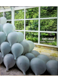 Tony Cragg Rzeźba sculpture