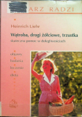 Wątroba drogi żółciowe trzustka