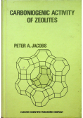 Carboniogenic activity of zeolites