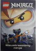 Lego Ninjago Nieustraszony ninja