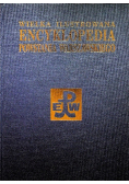 Wielka ilustrowana encyklopedia Powstania Warszawskiego Tom 2 Polityka kultura społeczeństwo