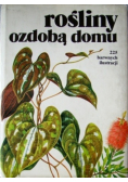 Rośliny ozdobą domu