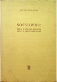 Sosnowiec Drogi i czynniki rozwoju miasta przemysłowego