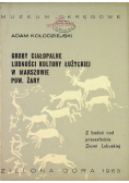 Groby ciałopalne ludności kultury Łużyckiej
