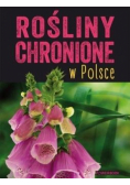 Rośliny chronione w Polsce
