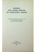 Genetic and allied effects of alkylating agents