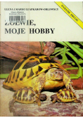 Żółwie moje hobby