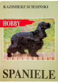 Hobby Spaniele