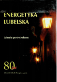 Energetyka lubelska Lubzelu portret własny