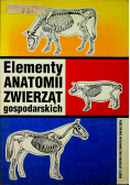 Elementy anatomii zwierząt gospodarskich
