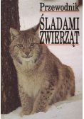 Śladami zwierząt