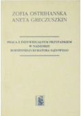 Praca z indywidualnym przypadkiem w nadzorze rodzinnego kuratora sądowego