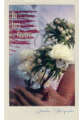 We’ll be born as flowers