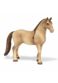 Klacz rasy Lusitano