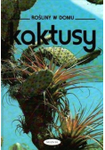 Rośliny w domu Kaktusy