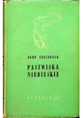 Pastwiska niebieskie I wydanie