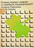 Drzewa krzewy i pnącza w odsiedlach mieszkaniowych